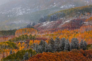 Fall Colors on Owl Creek Pass