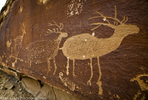 Rock Art & Bubbling Springs