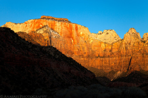 A Day in Zion National Park