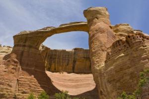 The Arches of Rattlesnake Canyon