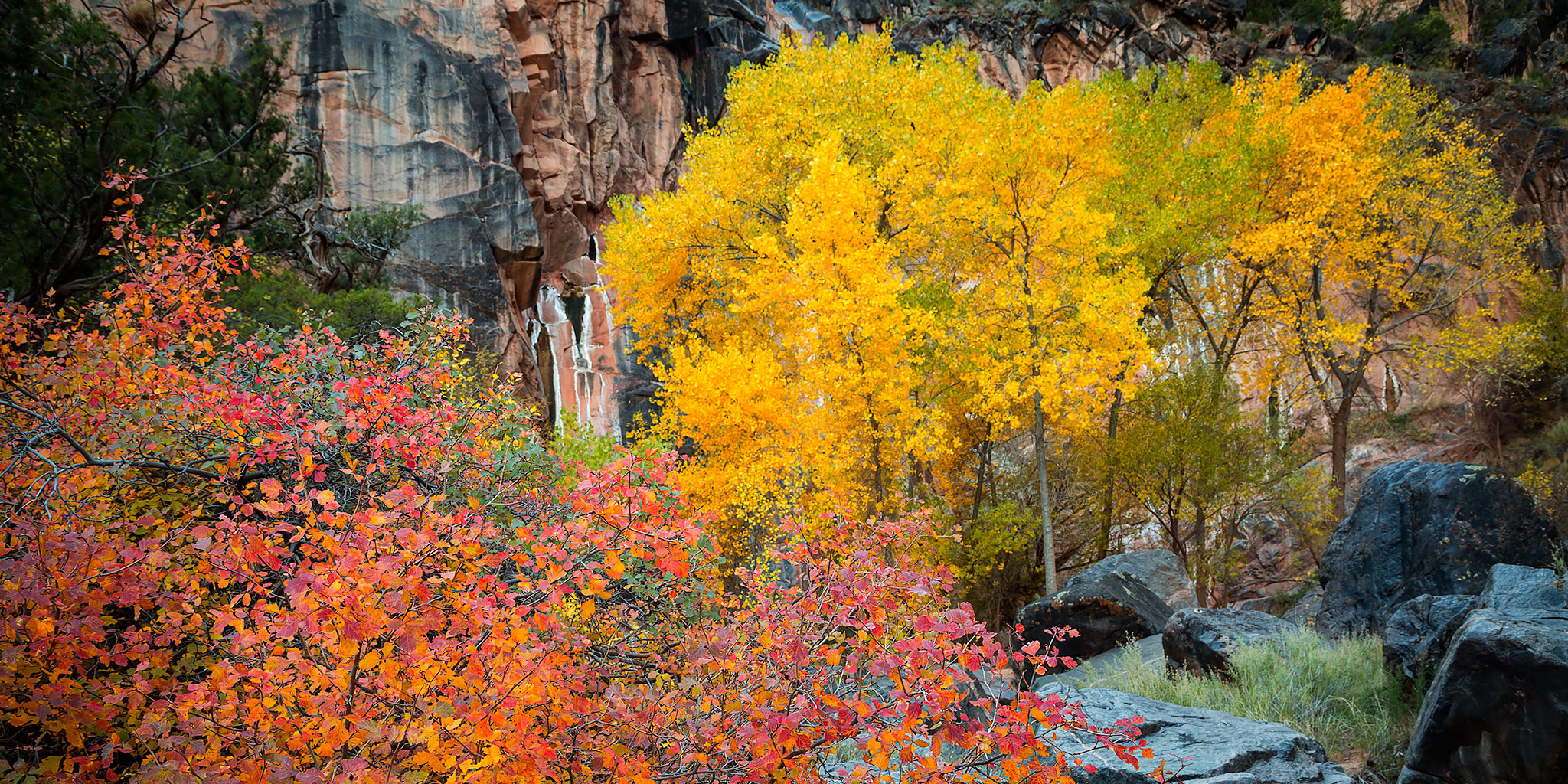 Colorado National Monument Fall Colors