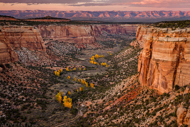 Fall In Ute Canyon