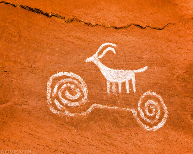 Sheep Skateboard