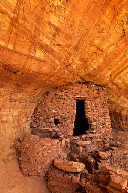 Wolfman Ruin