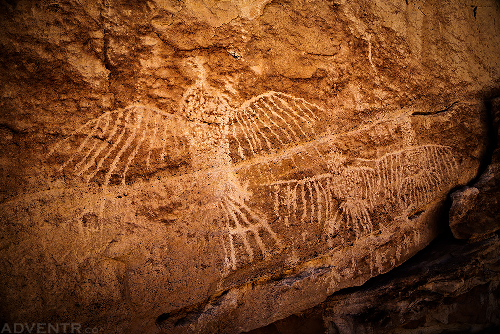 California Condor Petroglyphs