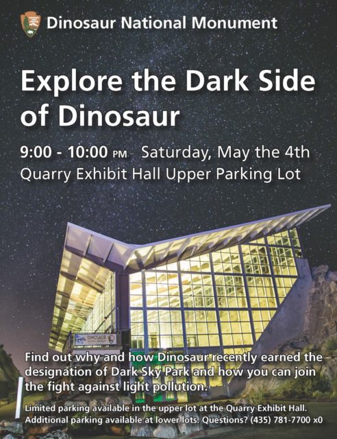 Dinosaur Night Sky 2019