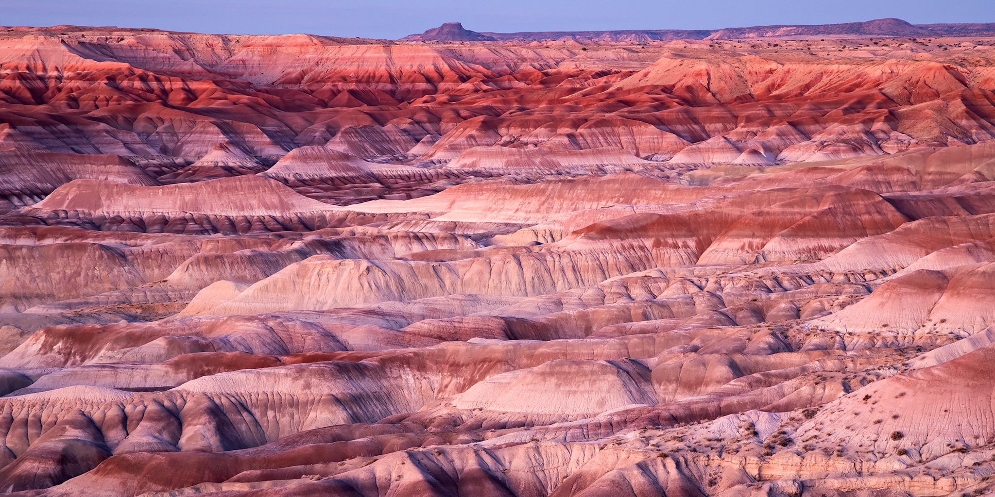 The Painted Desert: Petrified Forest National Park