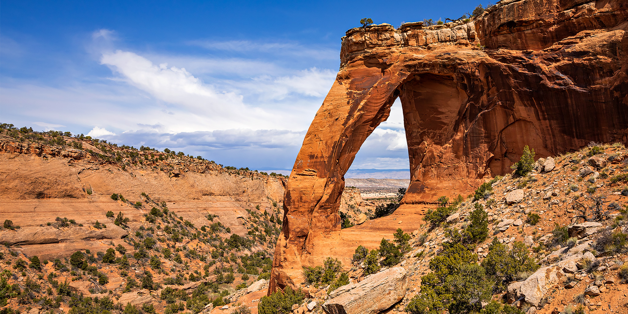 Canyons of the Black Ridge: Perseverance Arch