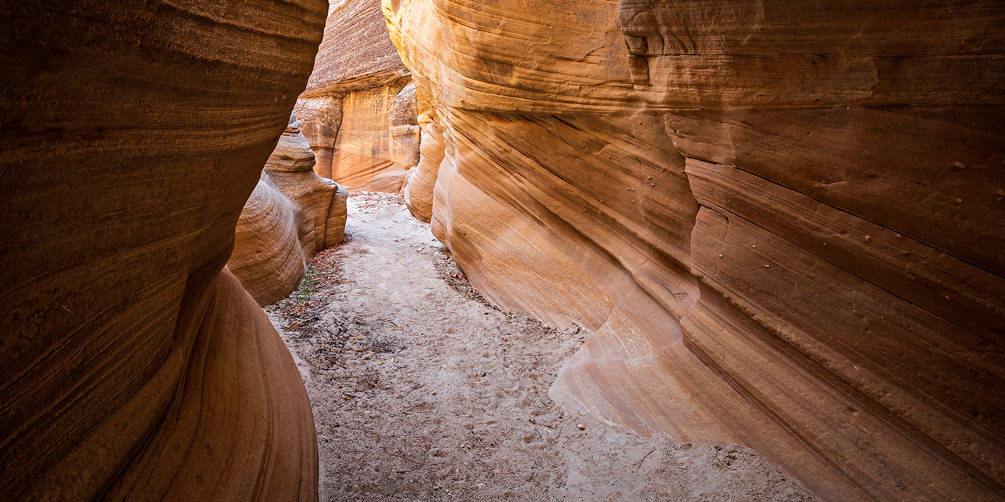 Canyons of the Paria: Lick Wash to Park Wash