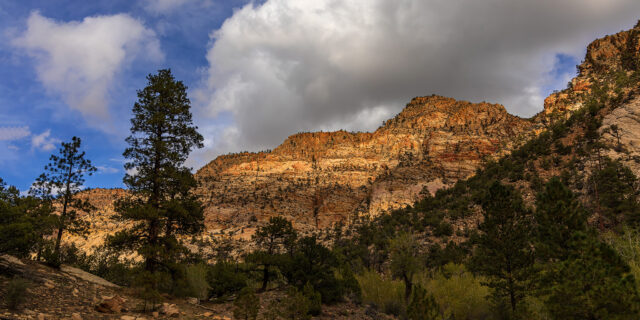 Canyons of the Escalante: The Box of Pine Creek