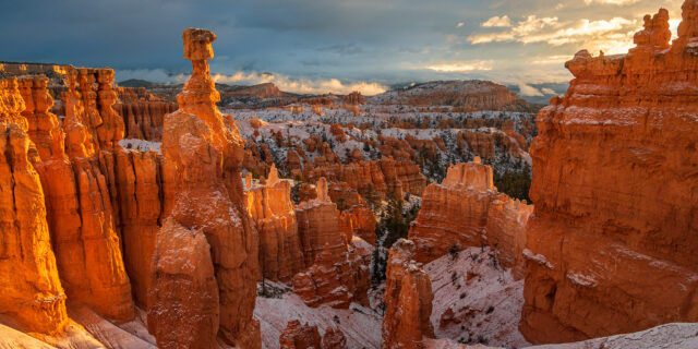 Under the Pink Cliffs: Trails of the Bryce Amphitheater