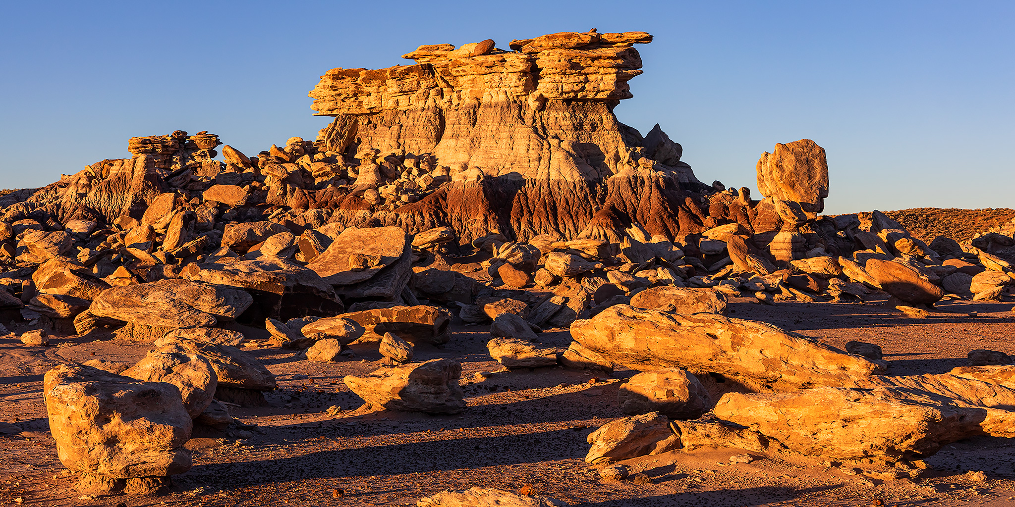 A Brief Stopover in Petrified Forest National Park