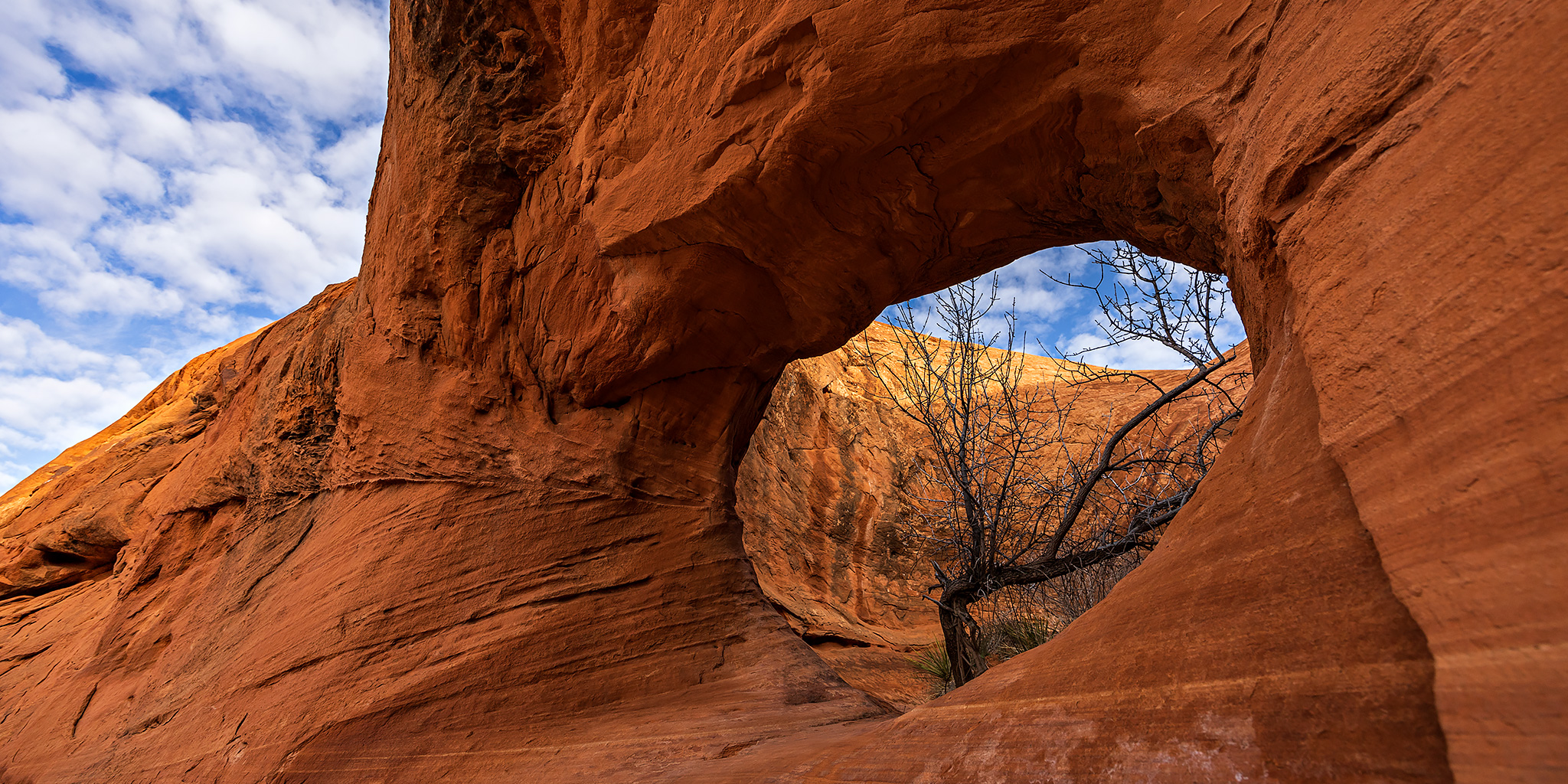 Moab Meanderings: Arches on Amasa Back