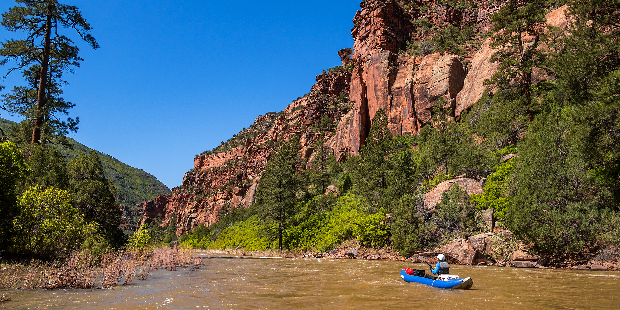 Into the Ponderosa Gorge of the Dolores River