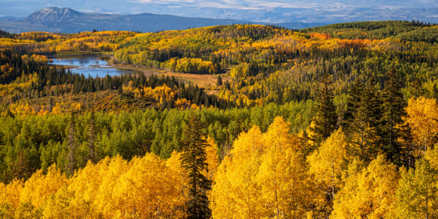 Early Fall Colors on the Grand Mesa 2024