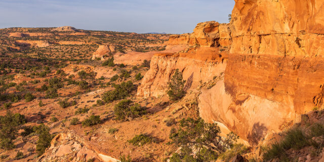 Rambling Around Robbers Roost VI