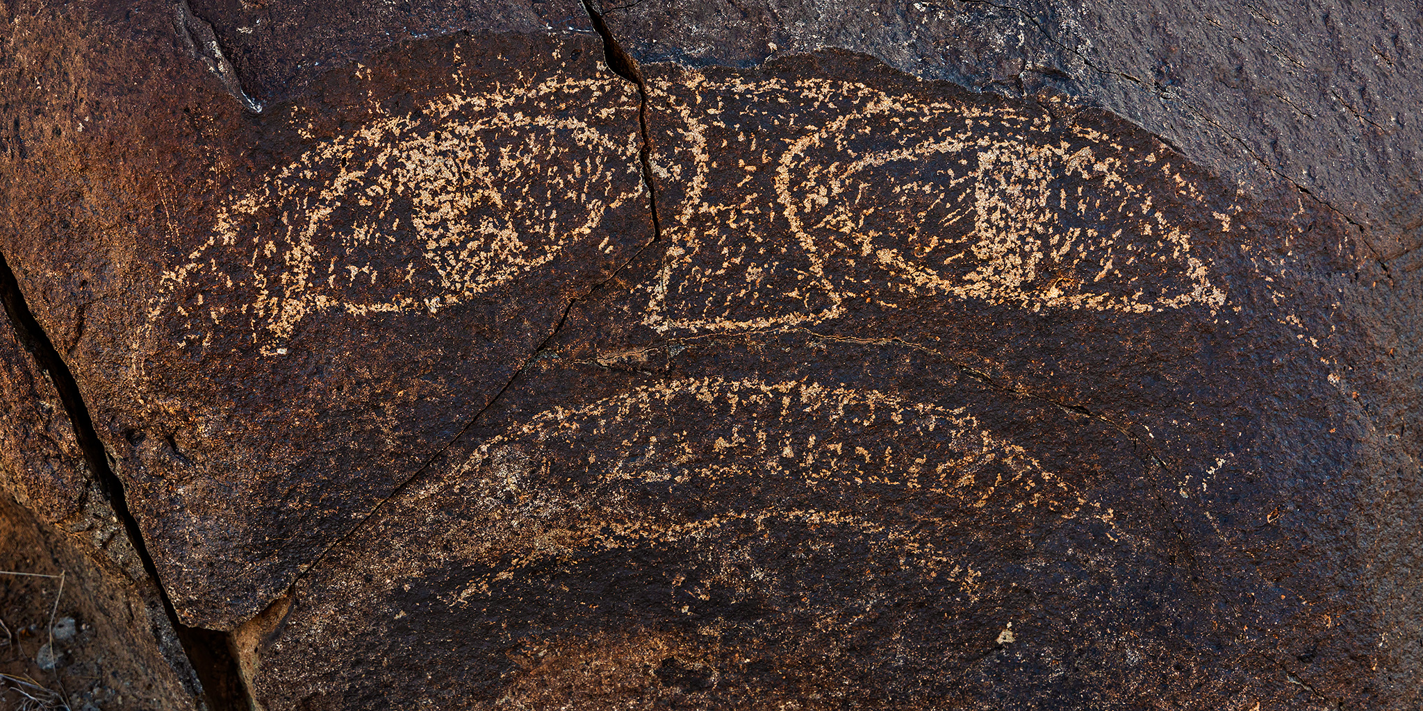 Written In Stone at the Three Rivers Petroglyph Site