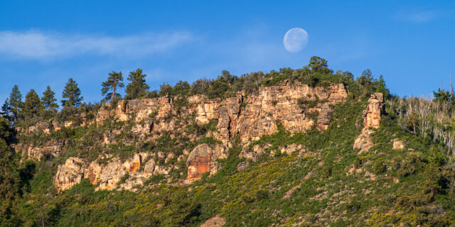 Wildcat Trail: Unaweep Divide to the Gill Creek Divide