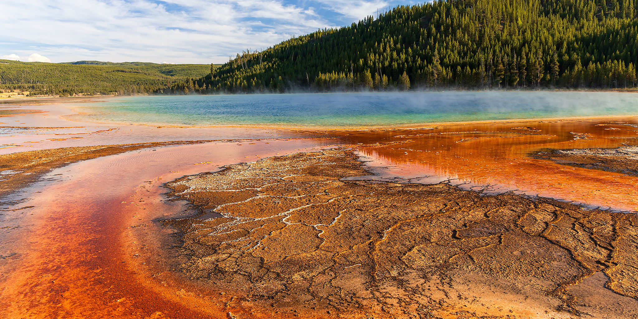 Plateau of Fire: Yellowstone National Park