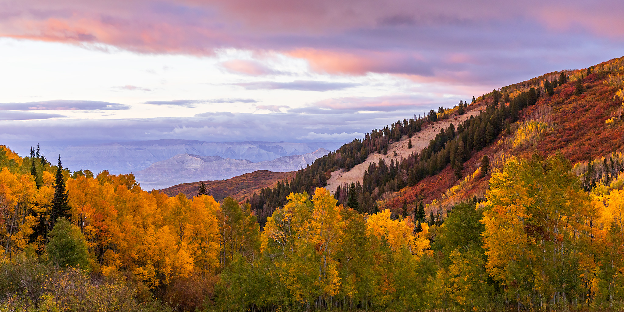 Fall Colors on the Grand Mesa 2025