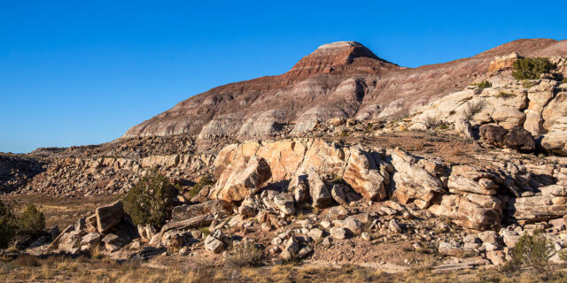 Al Look Hill: Fruita Paleo Area to Flume Creek