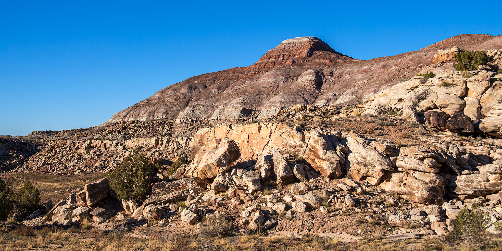 Al Look Hill: Fruita Paleo Area to Flume Creek