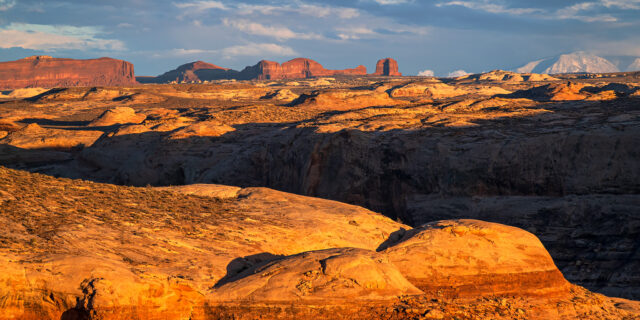 Junes Bottom & Moonshine Wash