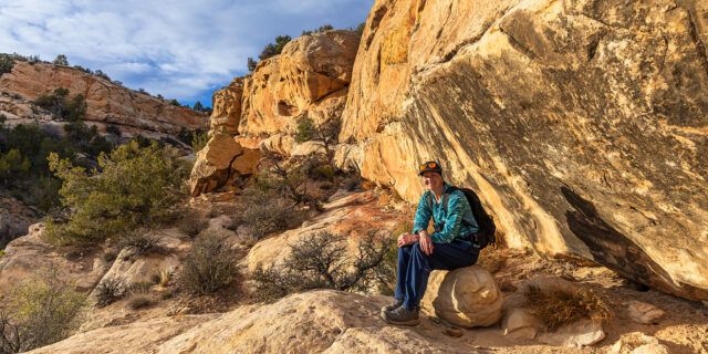 Sandstone Spine: Canyons of Comb Ridge