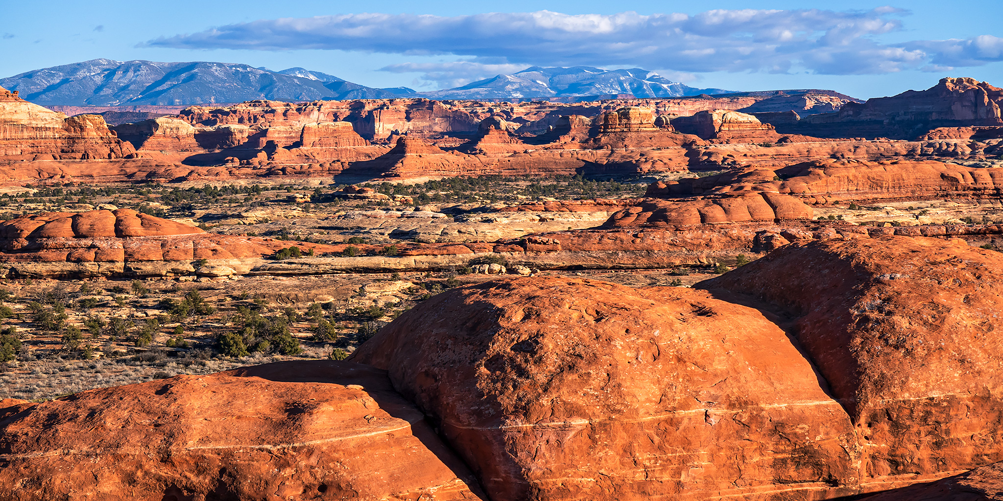 The Needles: Wandering a Wilderness of Stone