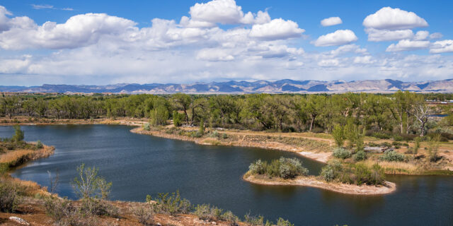 Fruita Frontcountry: Snooks Bottom & Opal Hill Loop