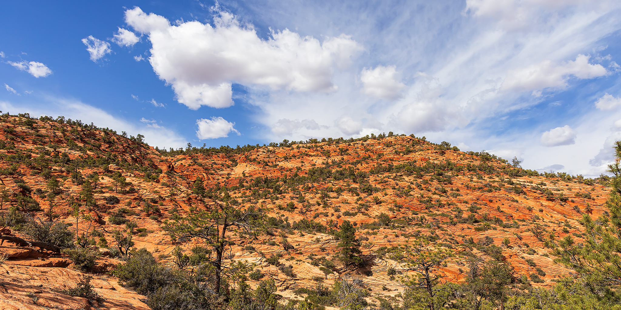 Vermilion Cliffs: Stepping Onto the Grand Staircase
