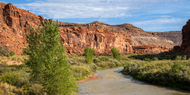 Bridgeport Bend and the Gunnison River